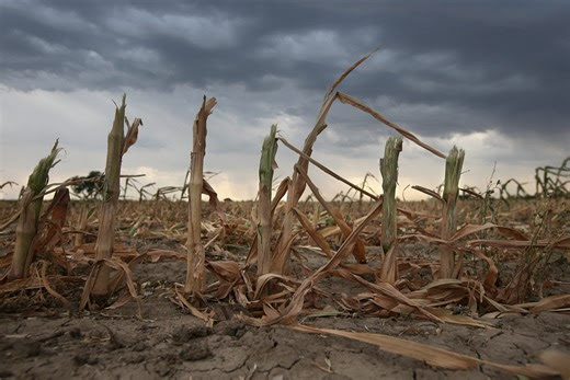 La sequía en Argentina afecta a más de la mitad del territorio y se prevén pérdidas millonarias