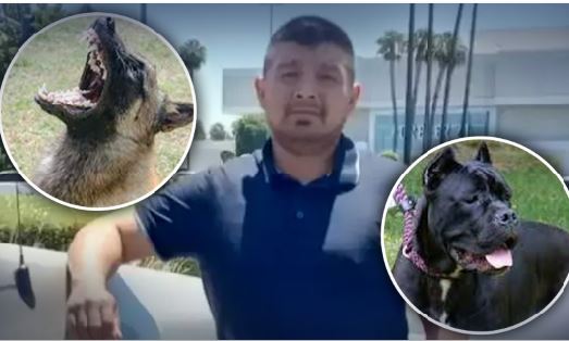Hispano muere atacado por 4 perros mientras trabajaba en Jurupa Valley tenía una esposa y 5 hijos en Guatemala