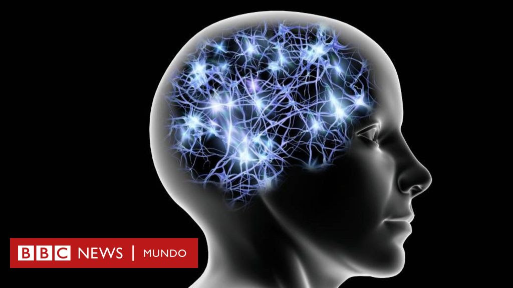 Los descubrimientos que cambian lo que sabemos sobre la importancia del tamaño del cerebro en la inteligencia humana