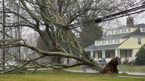 PHOTOS Storm damage across Southern New England