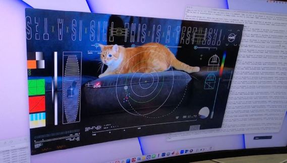 Un mensaje láser de la NASA envía a la Tierra el video de un gato llamado Taters, y eso es un gran hito