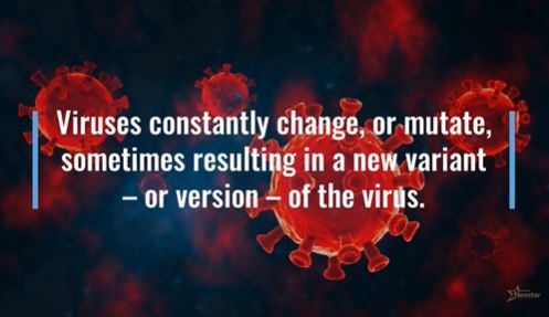 mas virus
