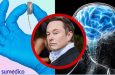 FDA autoriza a empresa de Elon Musk implantar chip cerebral en un segundo paciente