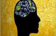 Your Brain on Wild Blueberries